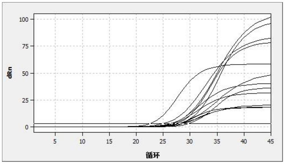 Primer combination, probe combination and human papilloma virus nucleic acid detection kit