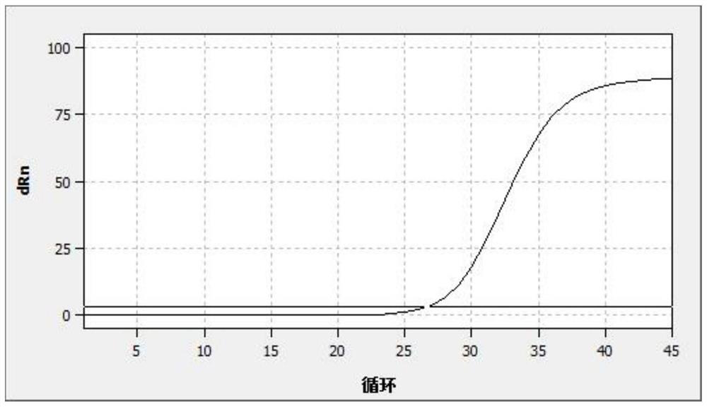 Primer combination, probe combination and human papilloma virus nucleic acid detection kit