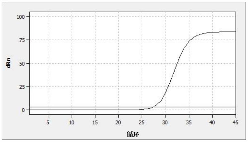 Primer combination, probe combination and human papilloma virus nucleic acid detection kit