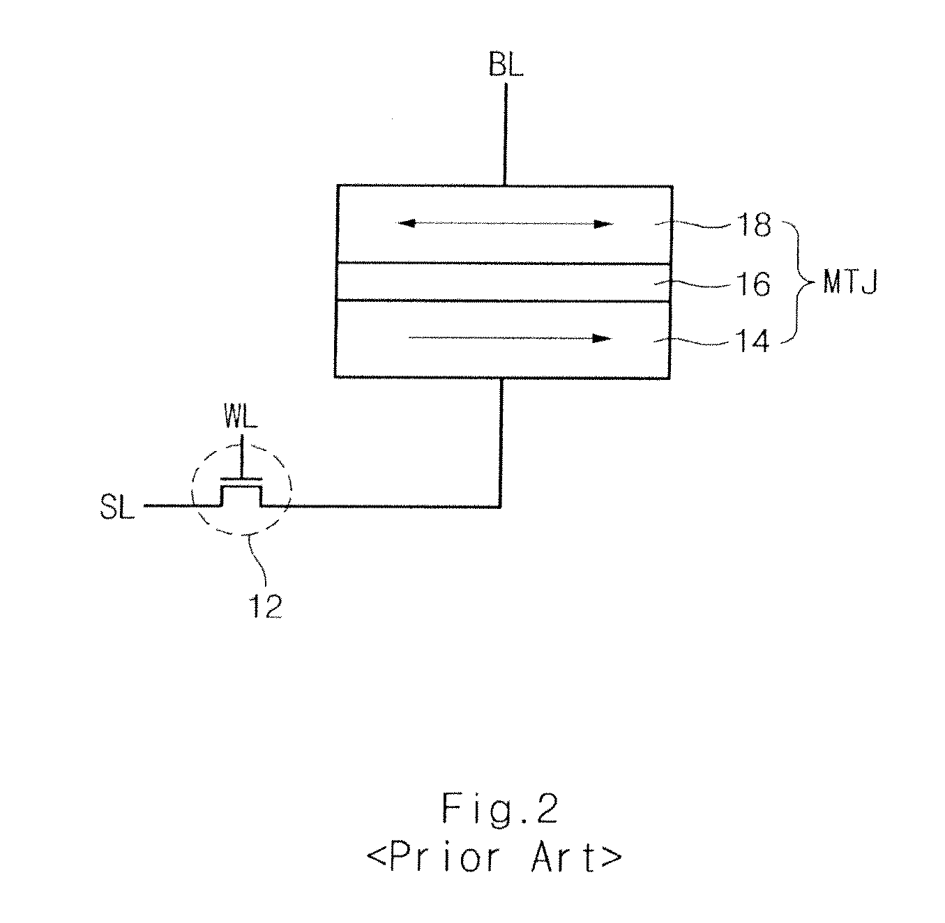 Spin Transfer Torque Memory Device Having Common Source Line and Method for Manufacturing the Same