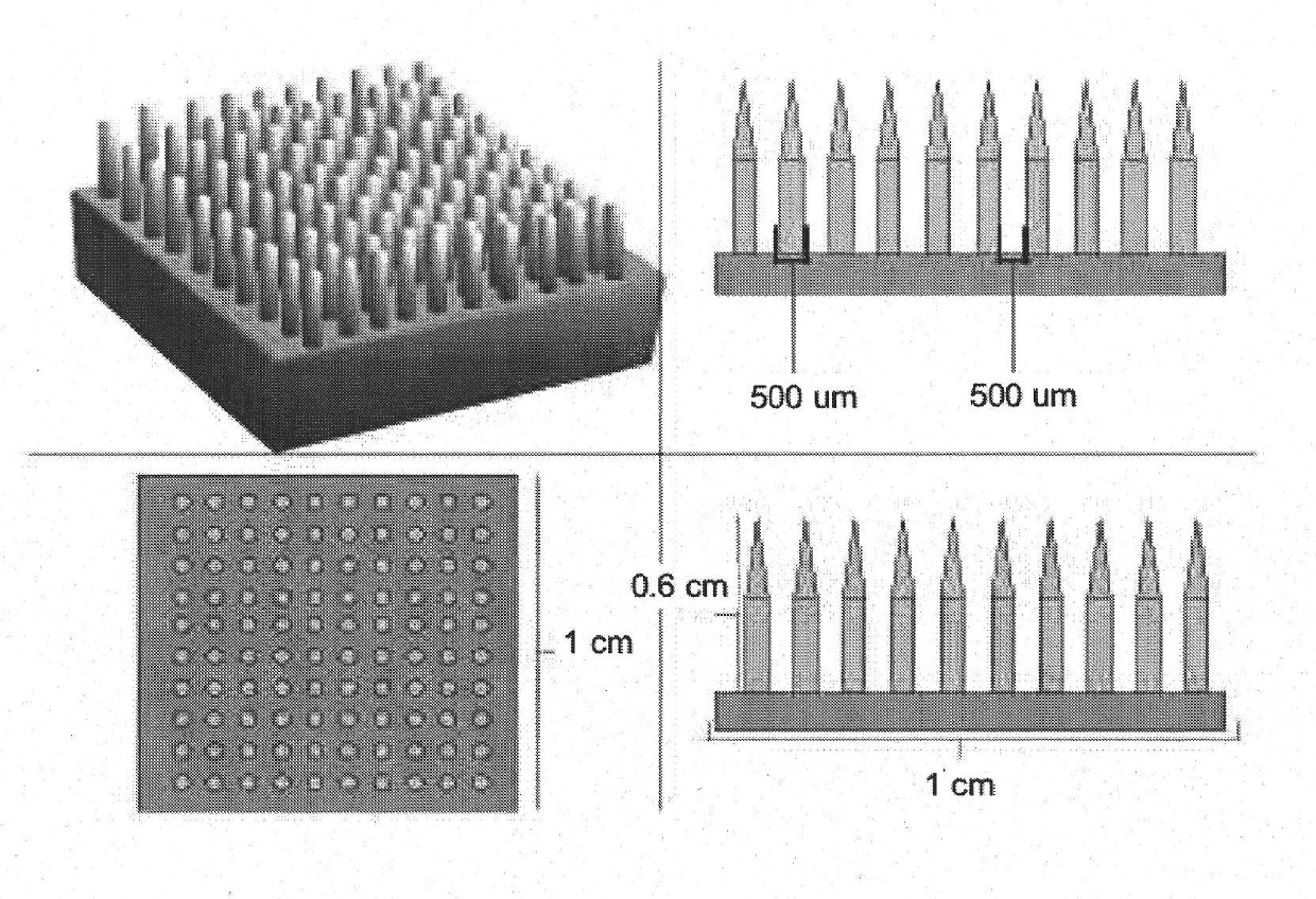 Three-dimensional matrices of structured porous monetite for tissue engineering and osseous regeneration, and method for the preparation thereof