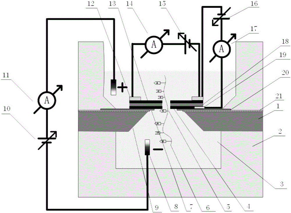 DNA sequencing device and manufacturing method