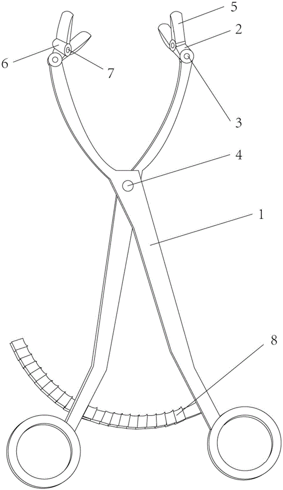 Uterus clamp