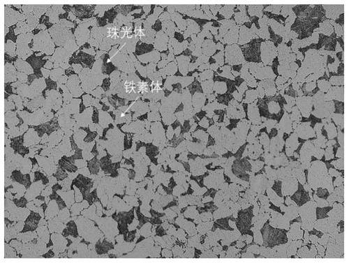 Steel for anti-corrosion steel bar for tropical ocean atmospheric environment concrete structure and production method thereof