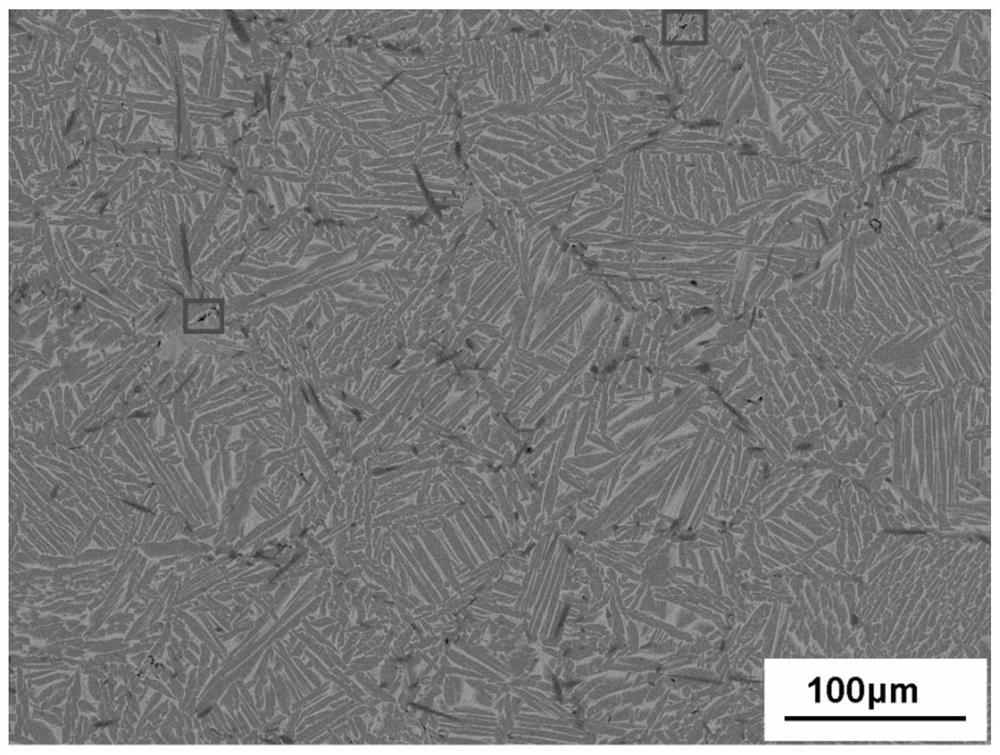 Processing and manufacturing method of novel double-state-structure titanium-based composite material