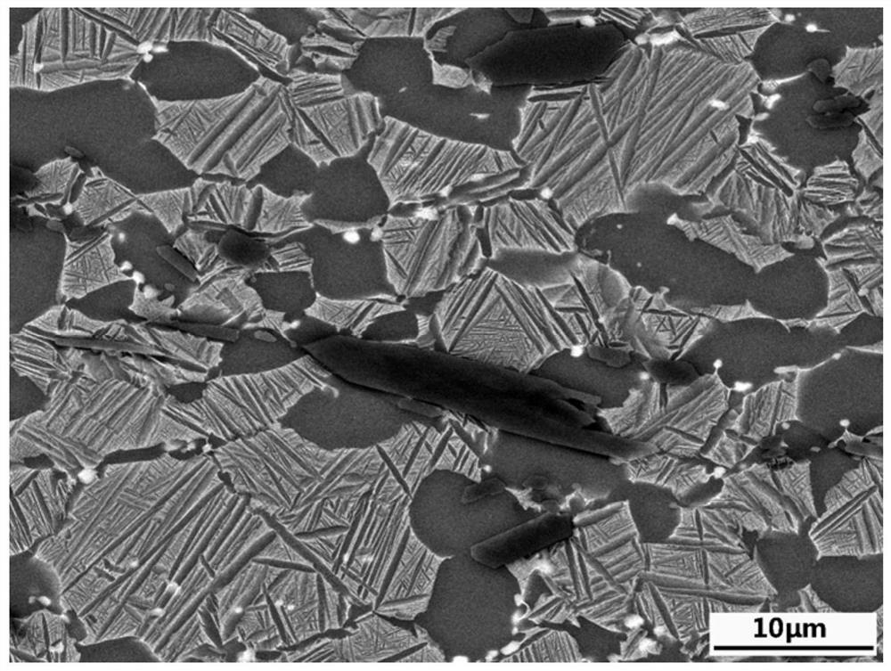 Processing and manufacturing method of novel double-state-structure titanium-based composite material