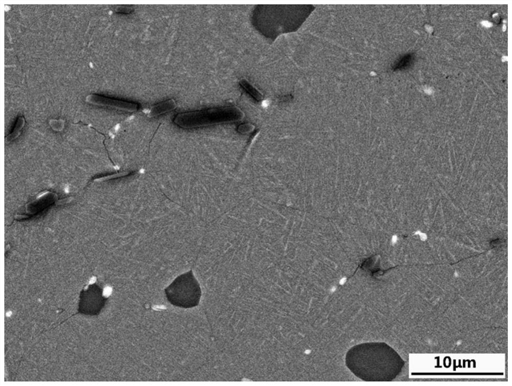 Processing and manufacturing method of novel double-state-structure titanium-based composite material