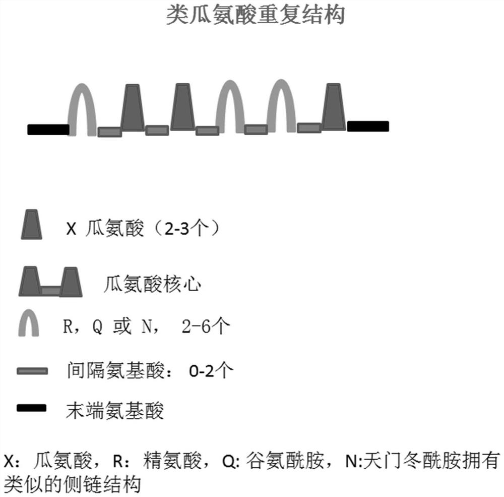 Specific polypeptide related to rheumatoid arthritis and application thereof