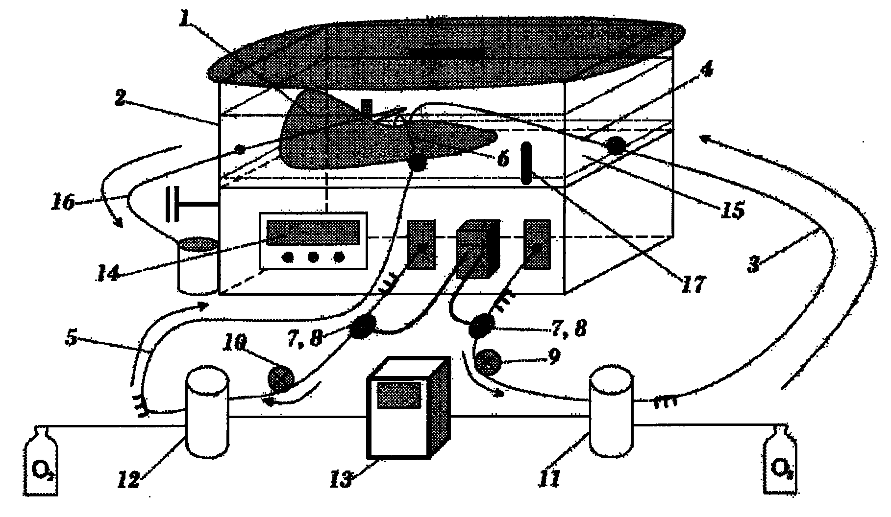 Device for the preservation of a hepatic graft in normothermia