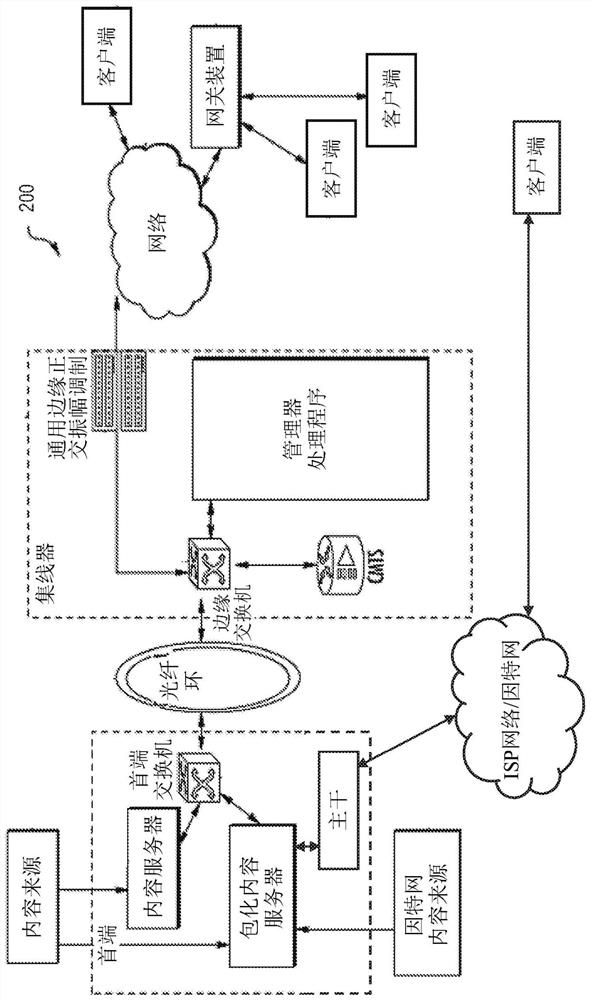 Apparatus and methods for integrated high-capacity data and wireless network services