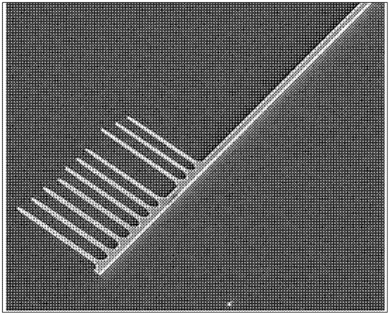 Cadmium sulfide pectinate semiconductor micro/nano material and preparation method thereof