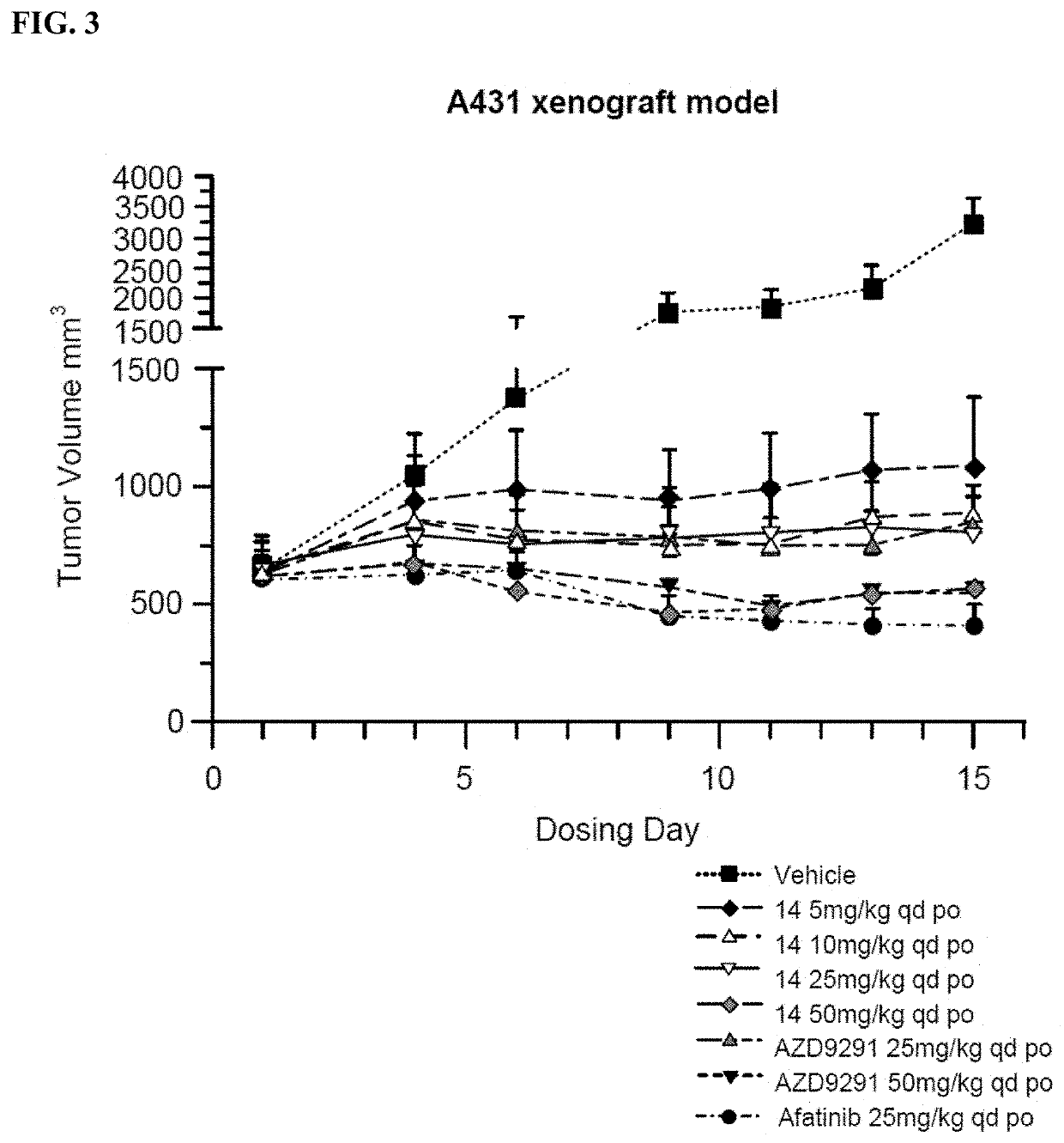 Use of pteridinone derivative serving as EGFR inhibitor