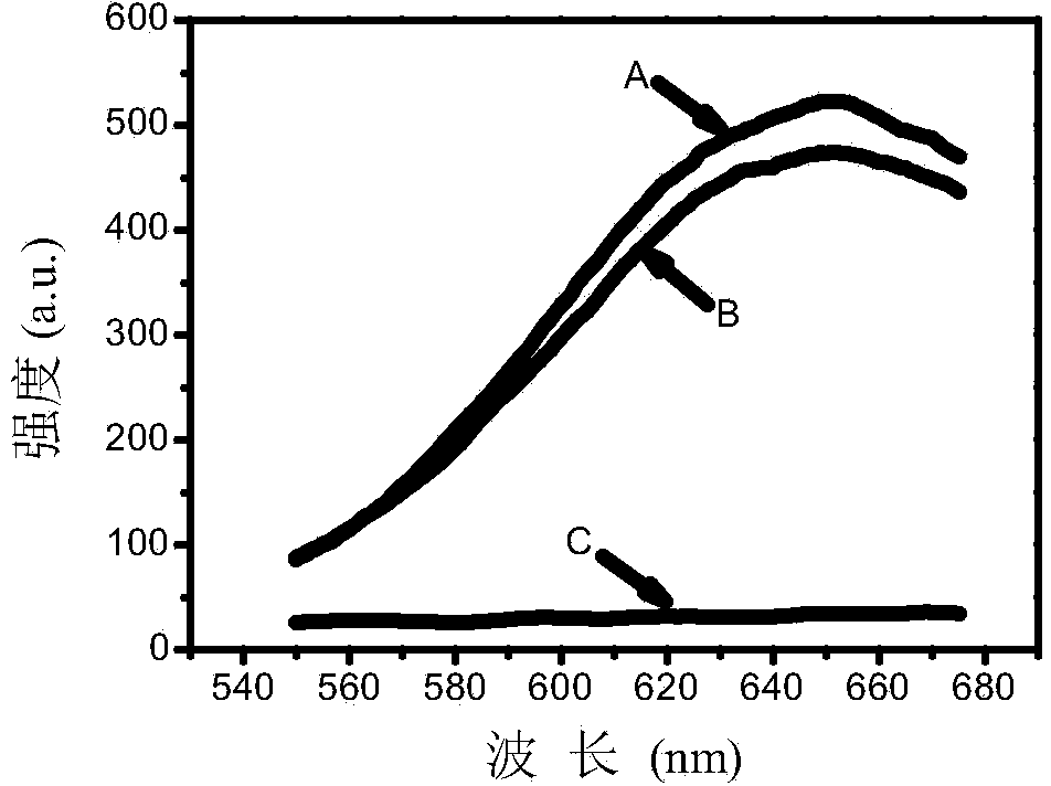 Urease inhibitor determination method based on fluorescence gold nano cluster