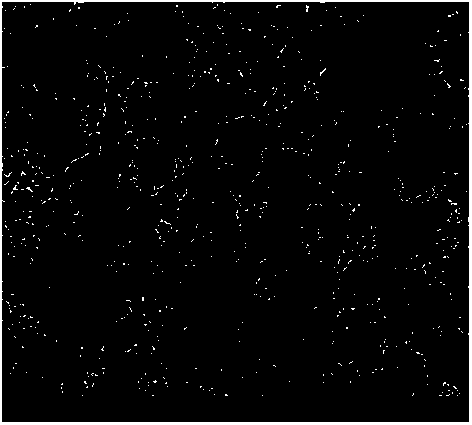 Porous carbon material for treating organic dye and fluoride-containing waste water, and preparation method thereof