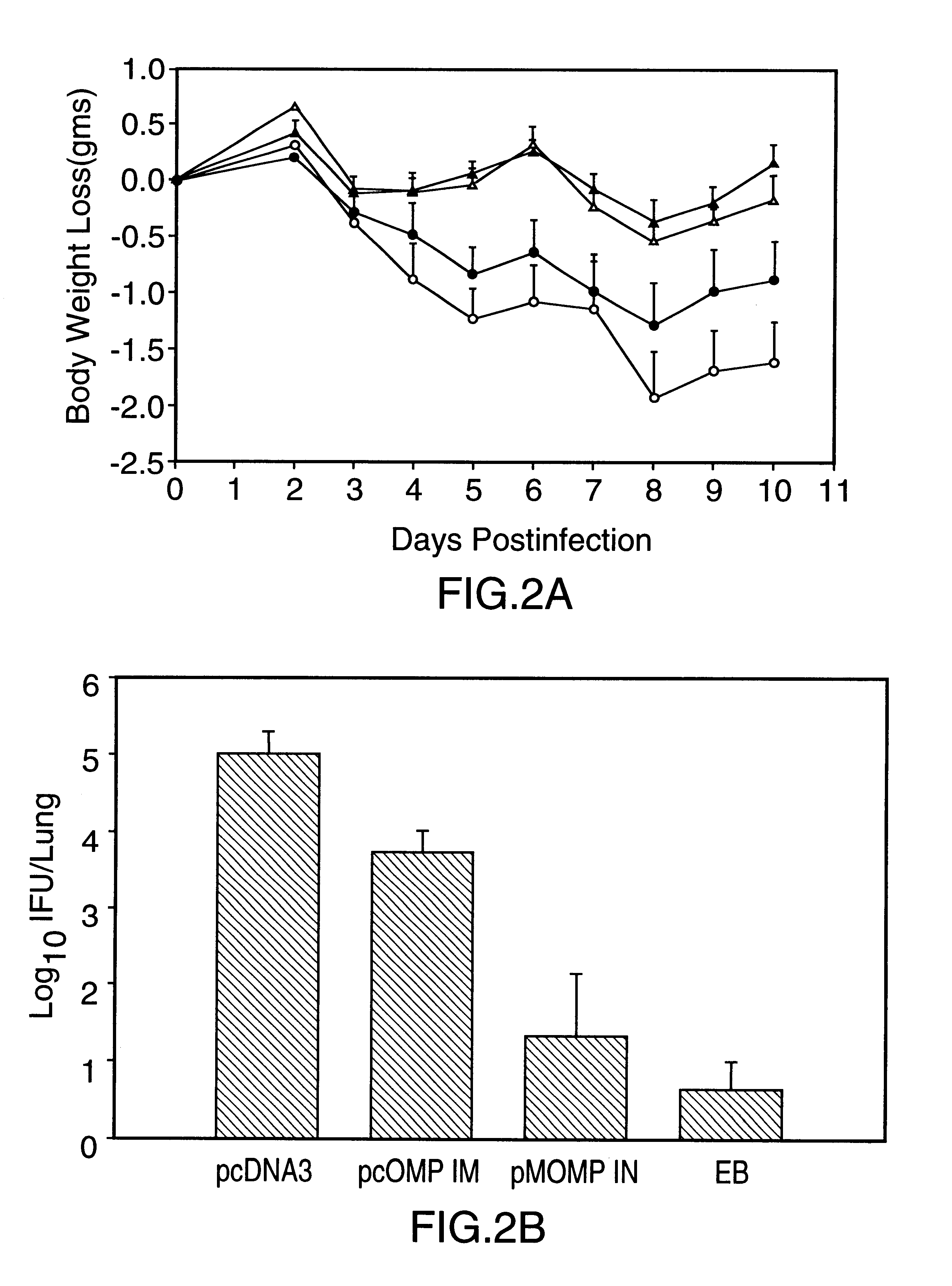 DNA immunization against chlaymdia infection