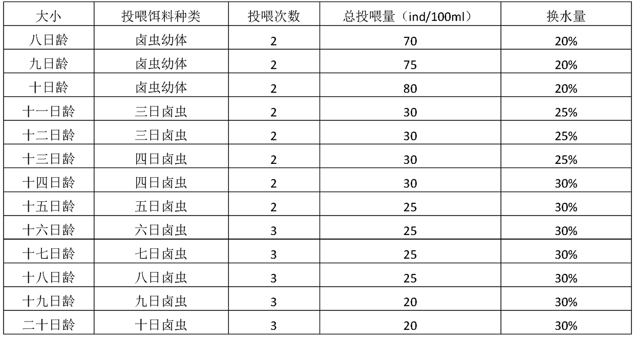 Domestication method for increasing recapture rate of releasing proliferation hippocampus fingerlings in bohai sea