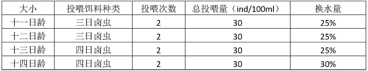 Domestication method for increasing recapture rate of releasing proliferation hippocampus fingerlings in bohai sea