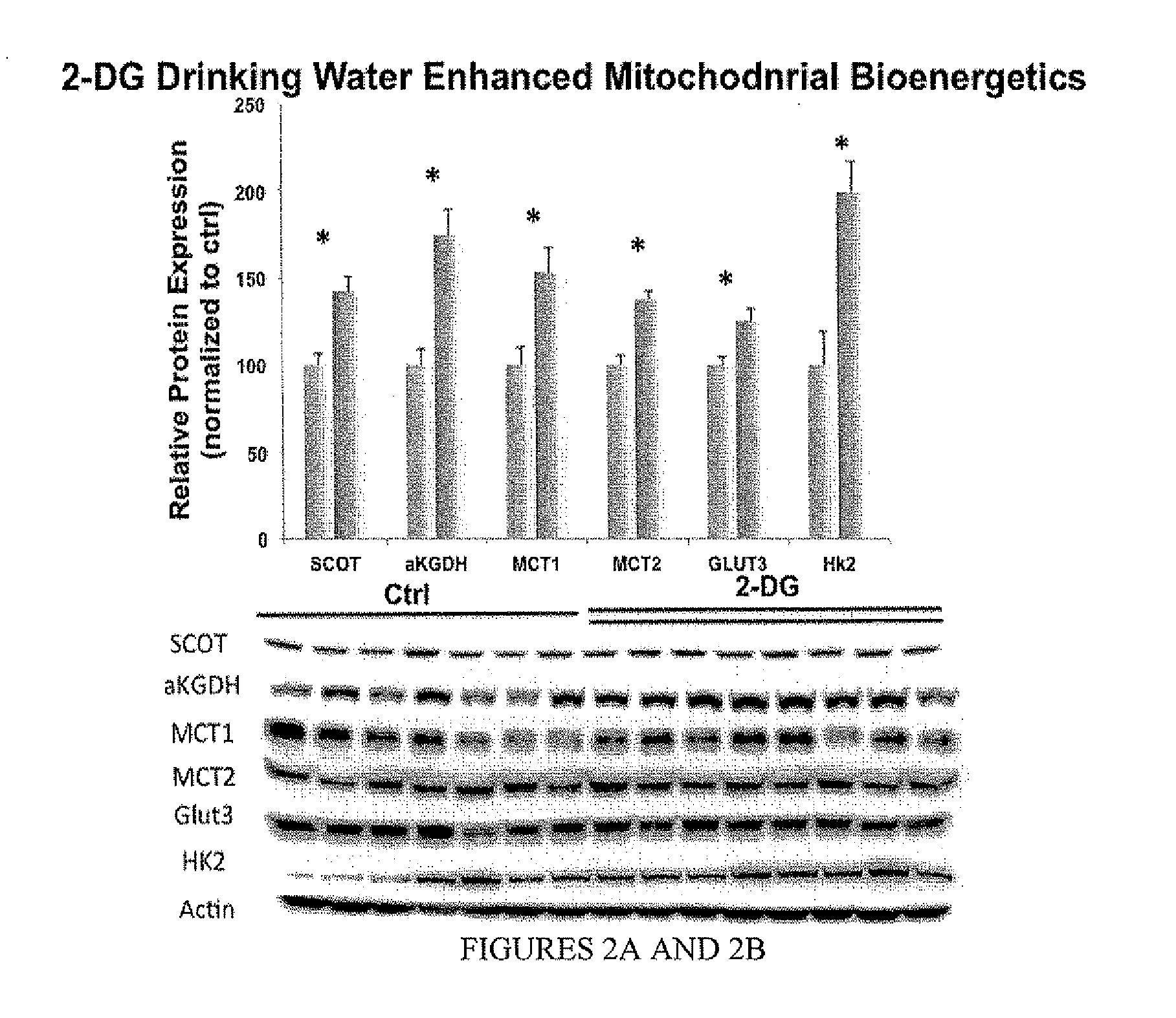 2-deoxy-d-glucose formulations for prevention or treatment of neurodegenerative diseases