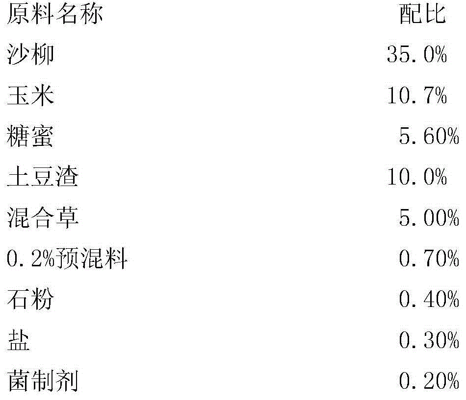 Salix psammophila mixed fermented feed composition and preparation process and feeding method thereof