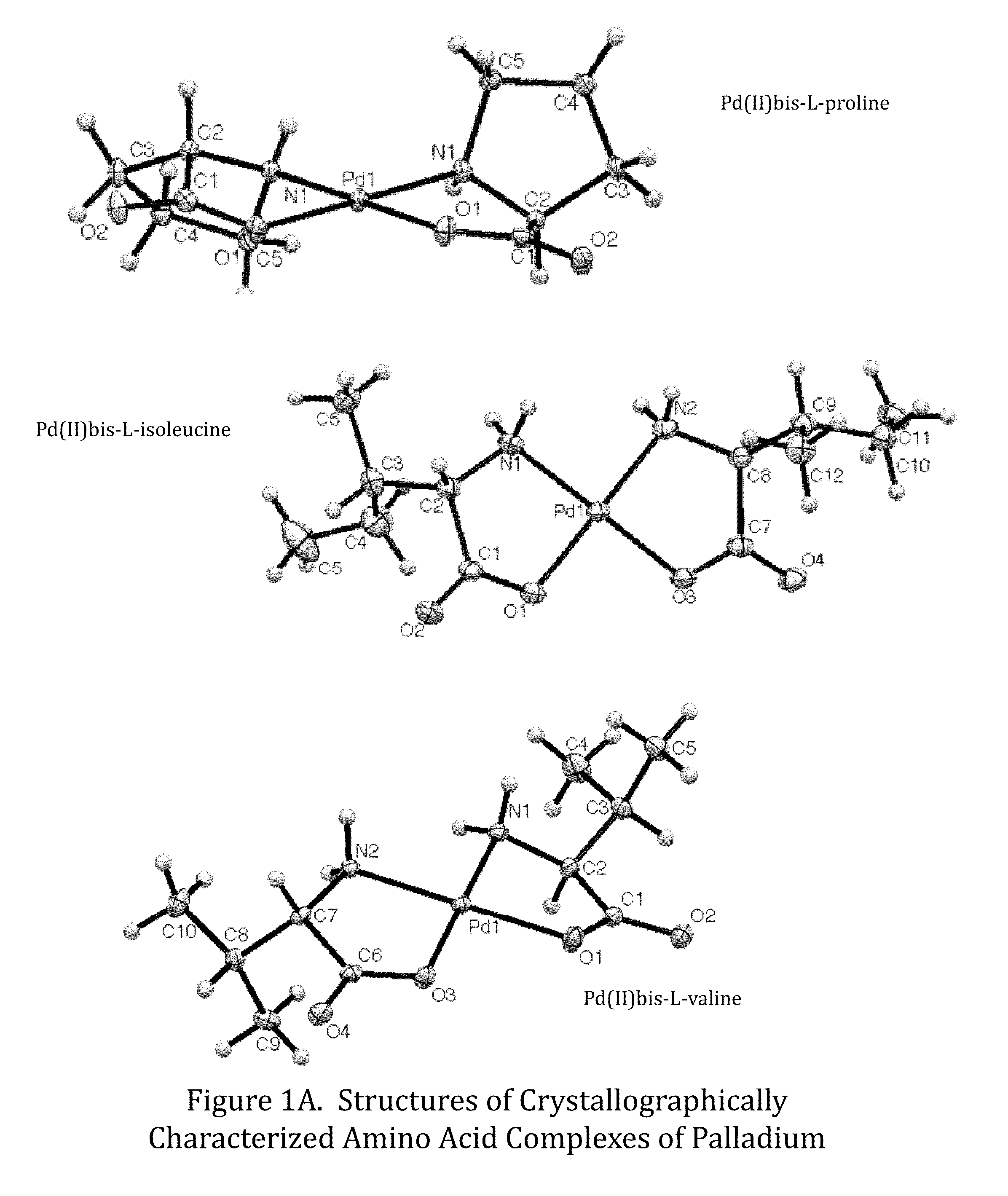 Transition metal complexes of amino acids and related ligands and their use as catalysts, Anti-microbials, and Anti-cancer agents