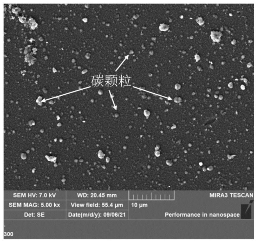 Protective coating for metal bipolar plate and preparation method thereof