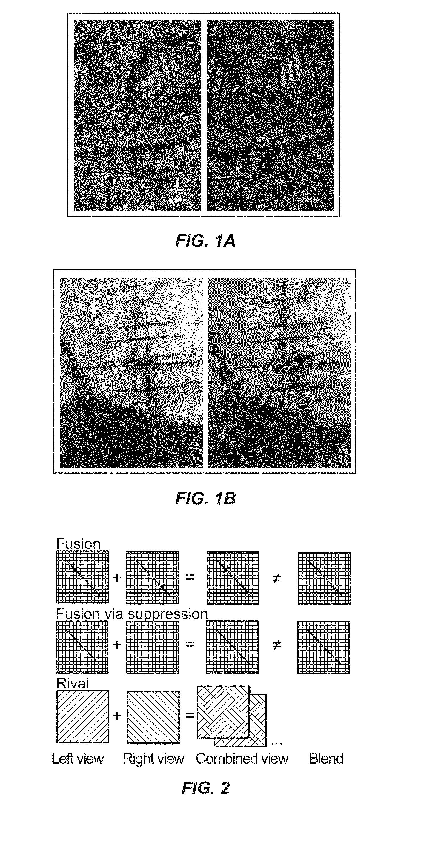 Binocular visual experience enrichment system