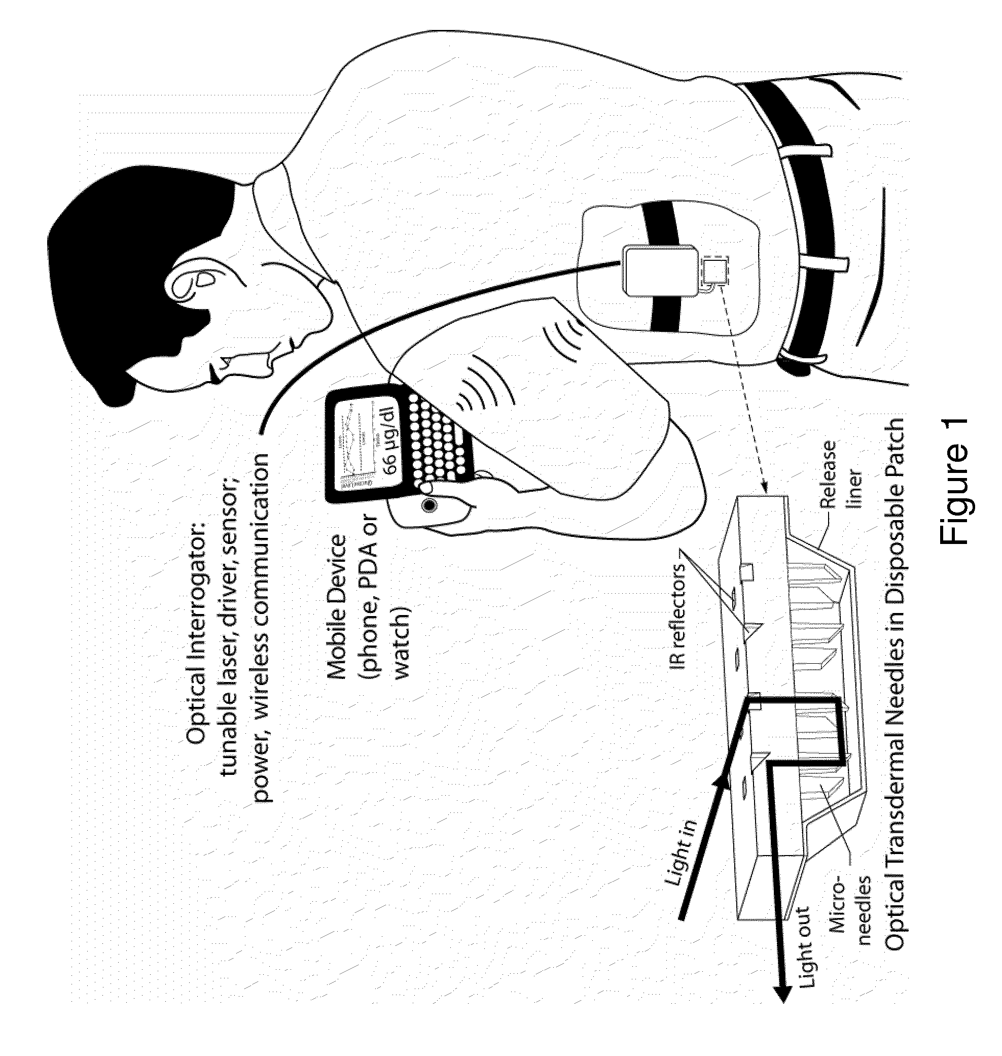 Optical Microneedle-Based Spectrometer