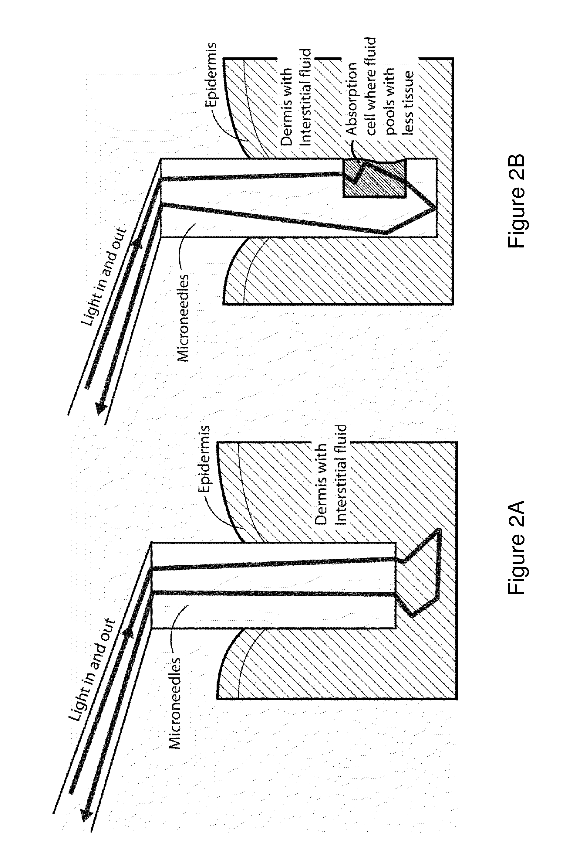 Optical Microneedle-Based Spectrometer