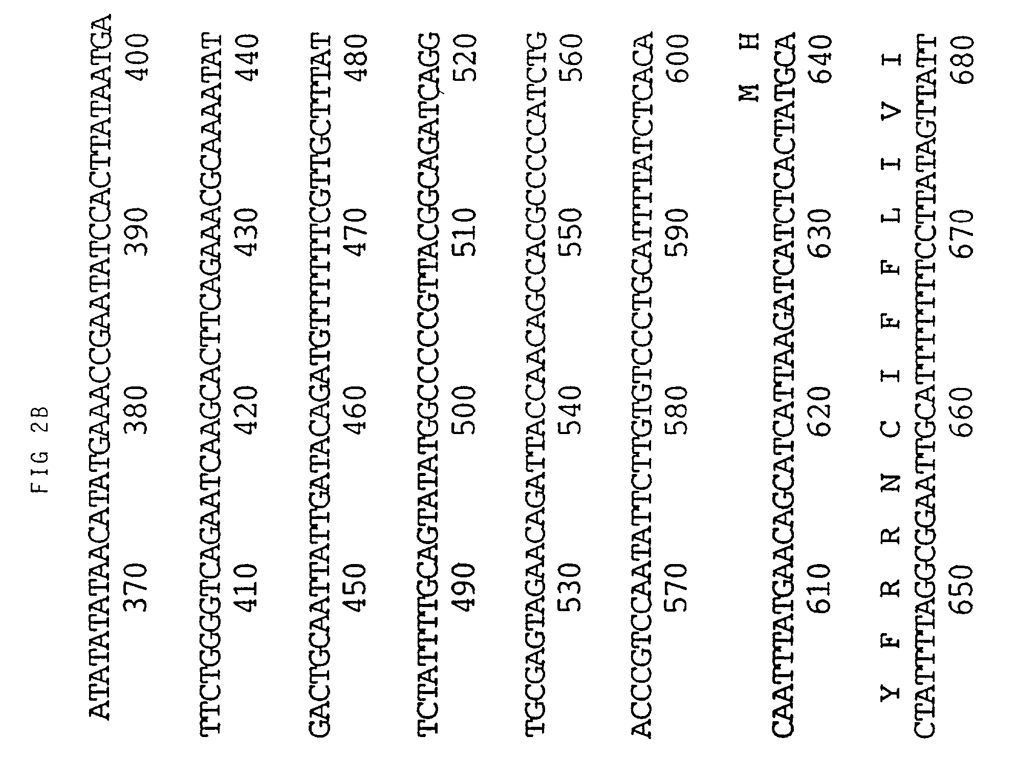 Viral nucleotide sequences