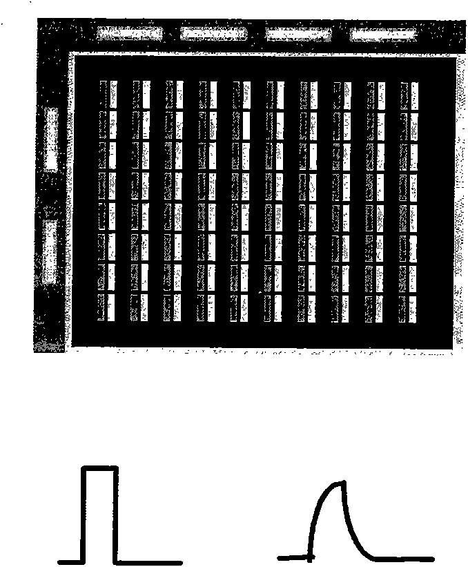 Liquid crystal display panel