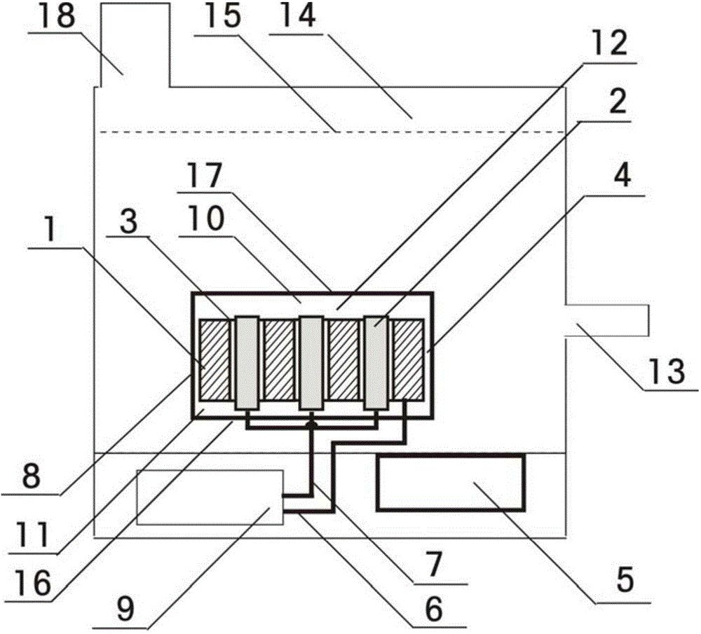 Water storage type electric water heater capable of draining electrolyzed water