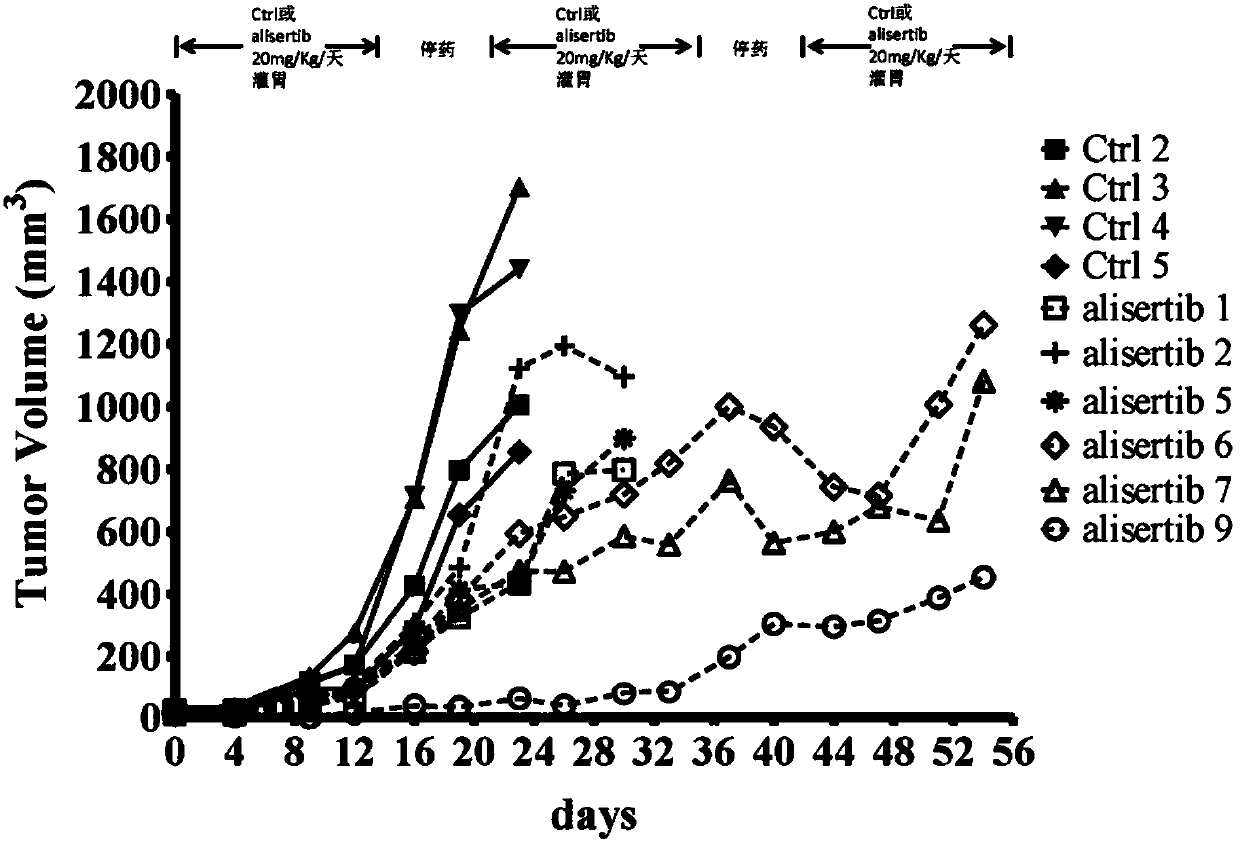 Application of STAT1 promoter methylation detection in drug-resistant tumor cells