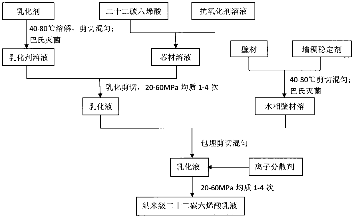 Nanoscale docosahexaenoic acid emulsion and preparation method thereof