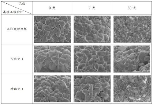 Nano magnesium lithium silicate coated high-nickel positive electrode material as well as preparation method thereof and application thereof