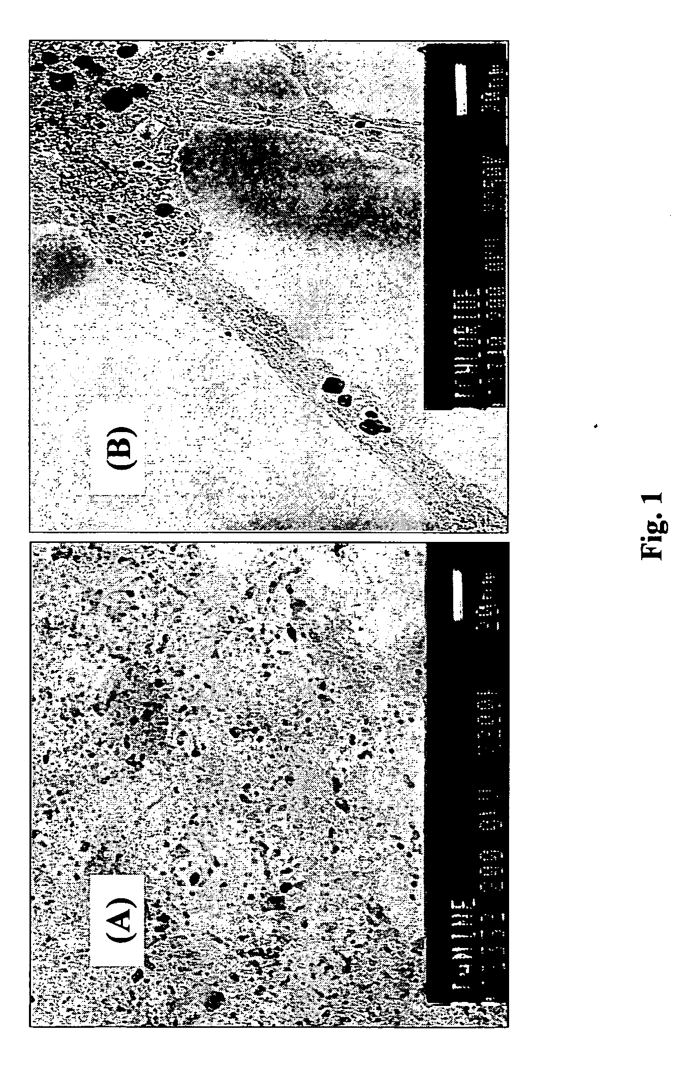 Carbon nanotube pastes and methods of use