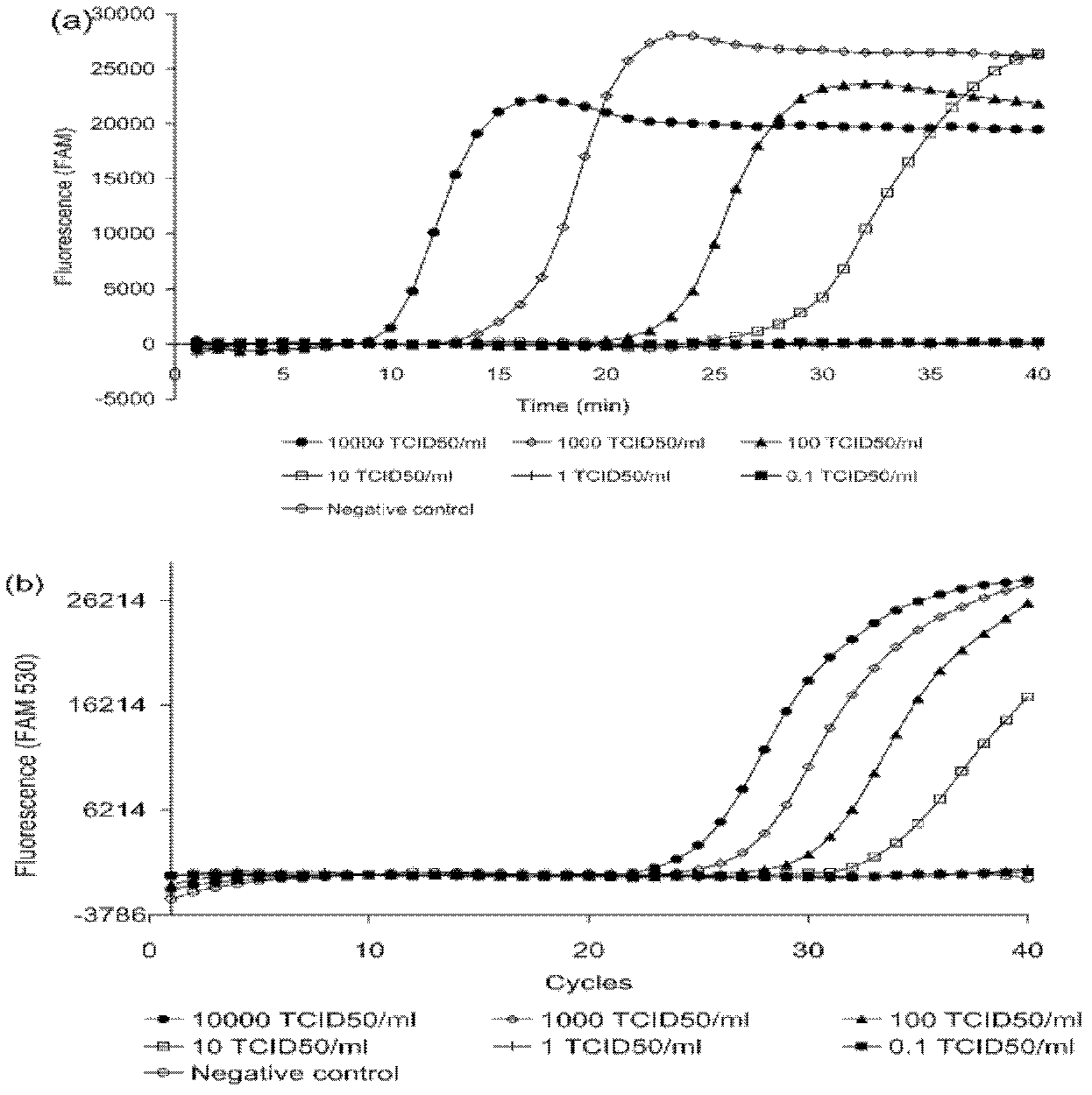 S-segment loop-mediated isothermal amplification rapid detection kit and method for server fever with thrombocytopenia syndrome bunyavirus