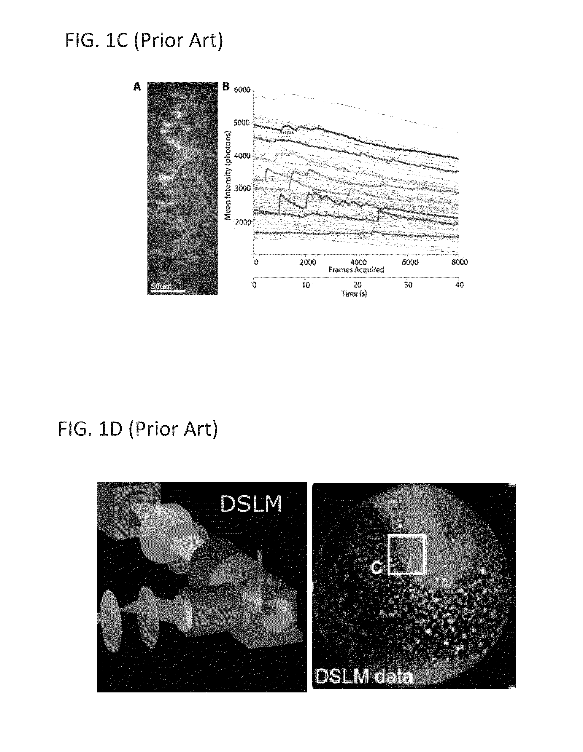 Multiple-photon excitation light sheet illumination microscope