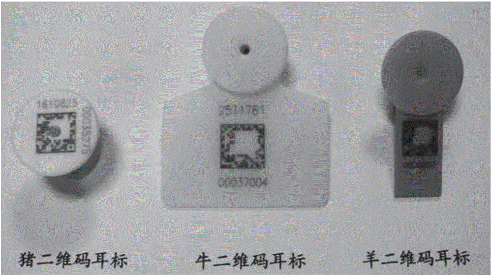 Animal ear tag matrix encoding identification method and device