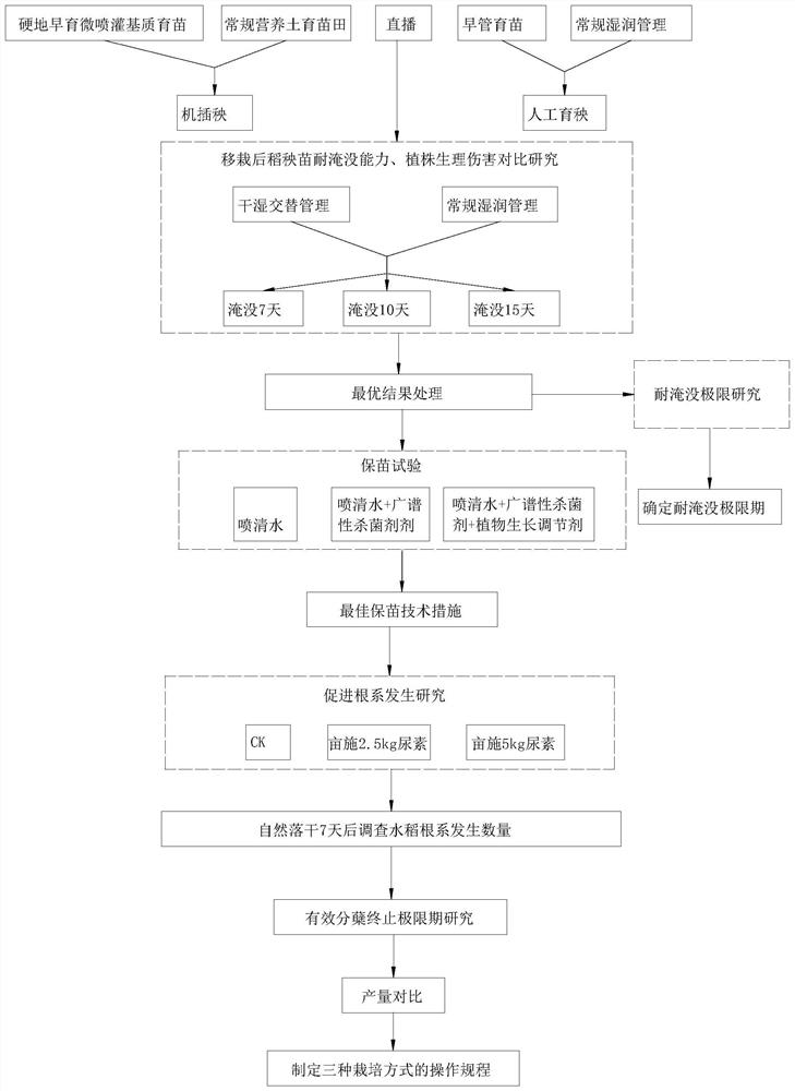 Cultivation method of flood-disaster-resistant conventional japonica rice in Yangtze River basin