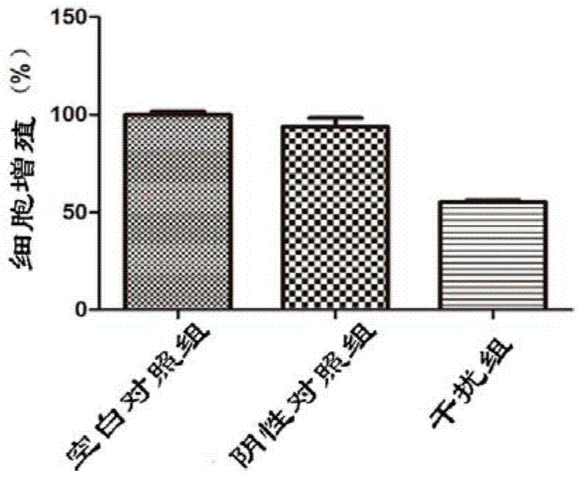 siRNA aiming at human annexin A2 acceptor gene and application thereof