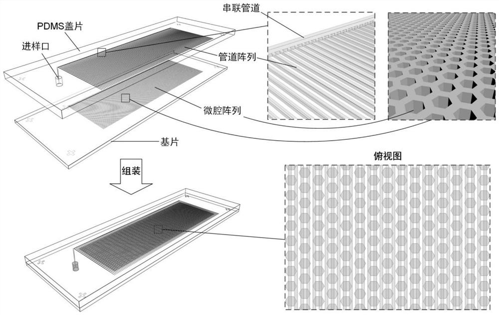 A large-scale and rapid digital decomposition chip for liquid phase samples and its application method