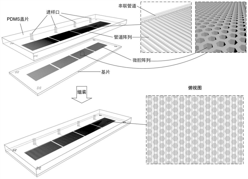 A large-scale and rapid digital decomposition chip for liquid phase samples and its application method