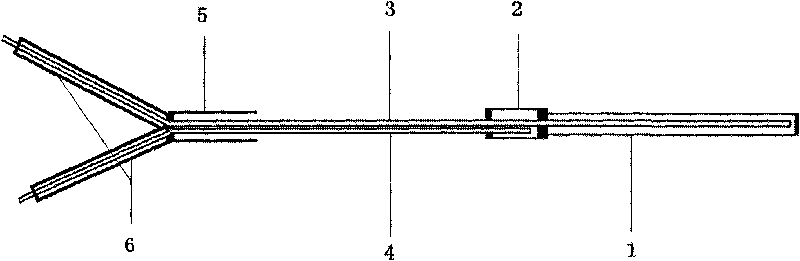 Jugular vein microdialysis probe and probe guiding device