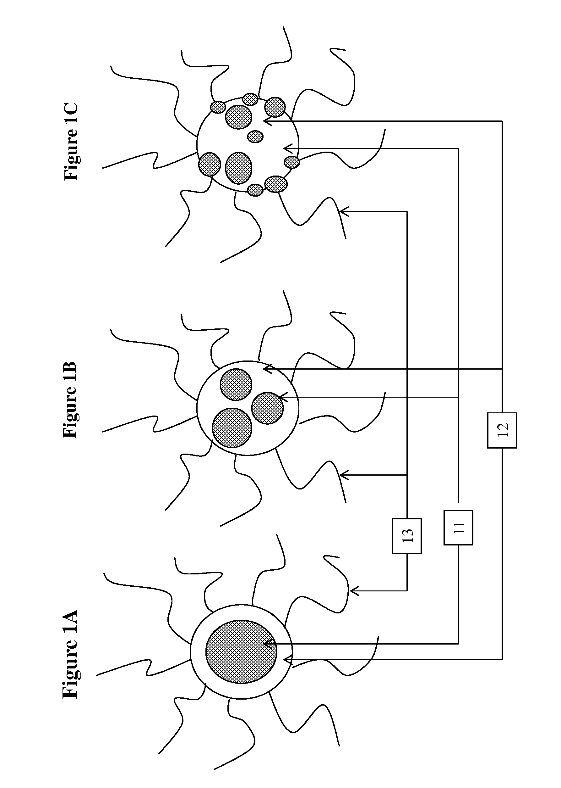 Method for improving image stability of electrophoretic fluid