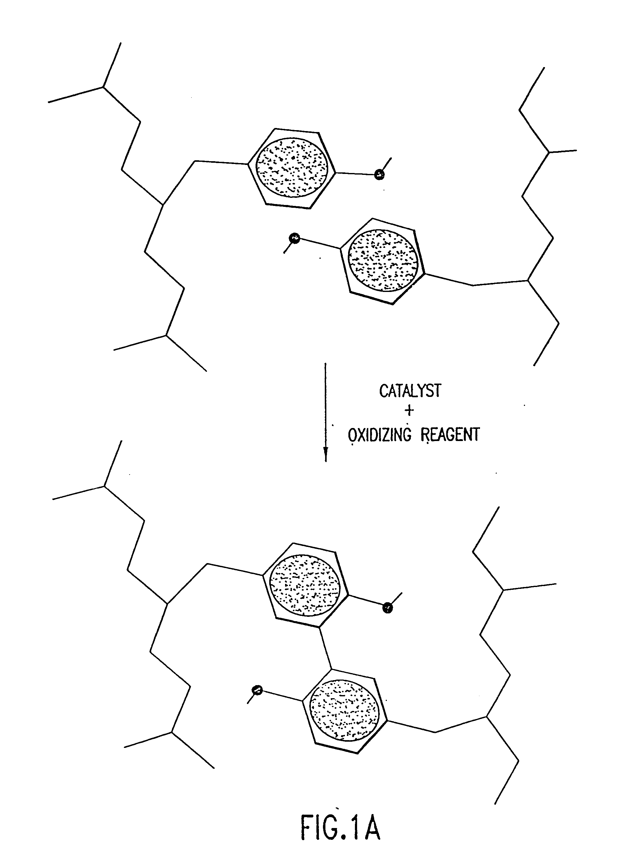 Stabilized proteins