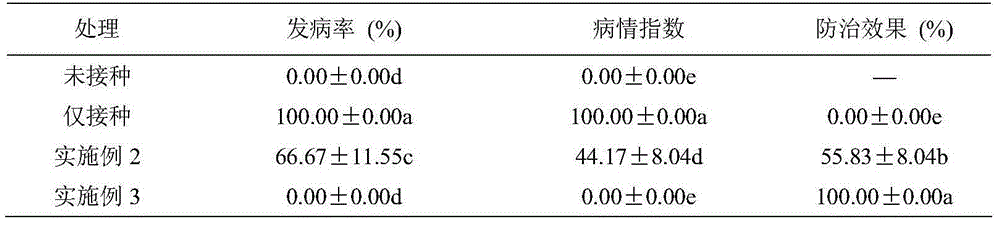 Soil disinfectant and method for preventing and treating phytophthora capsici