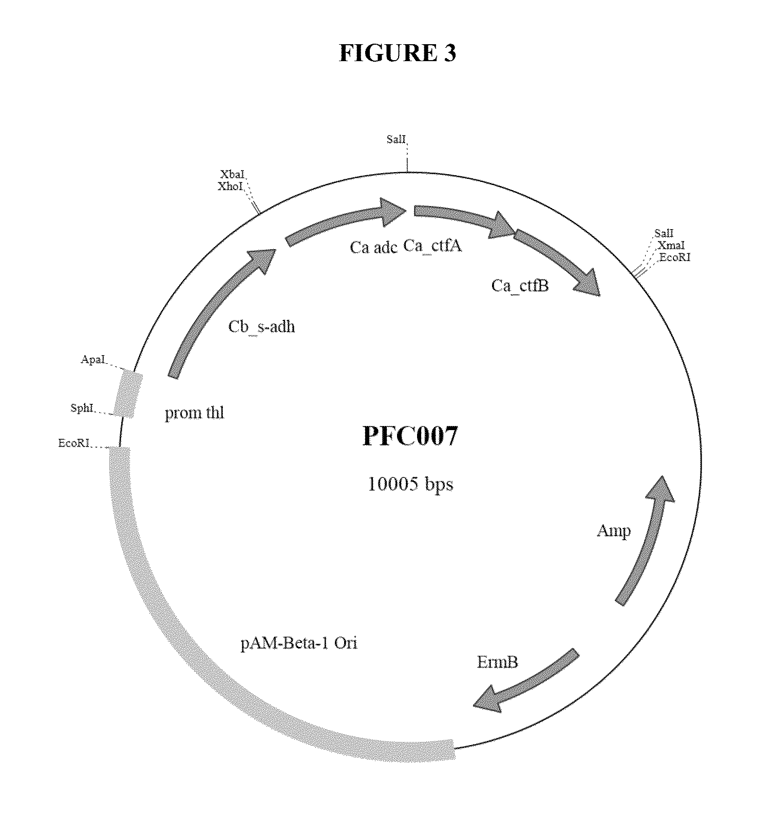 Production of isopropanol by improved recombinant strains