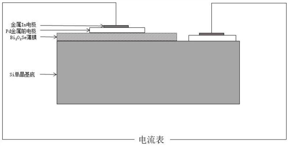 Self-driven photoelectric detector based on Bi2O2Se thin film/Si heterojunction and preparation method thereof