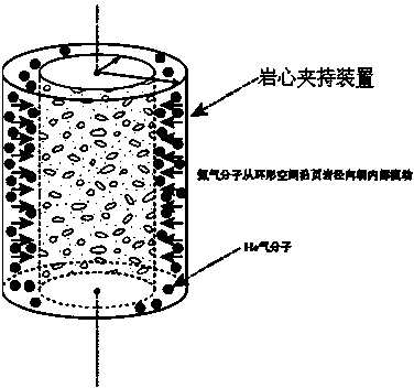 Device and method for determining radial permeability of compact rock core