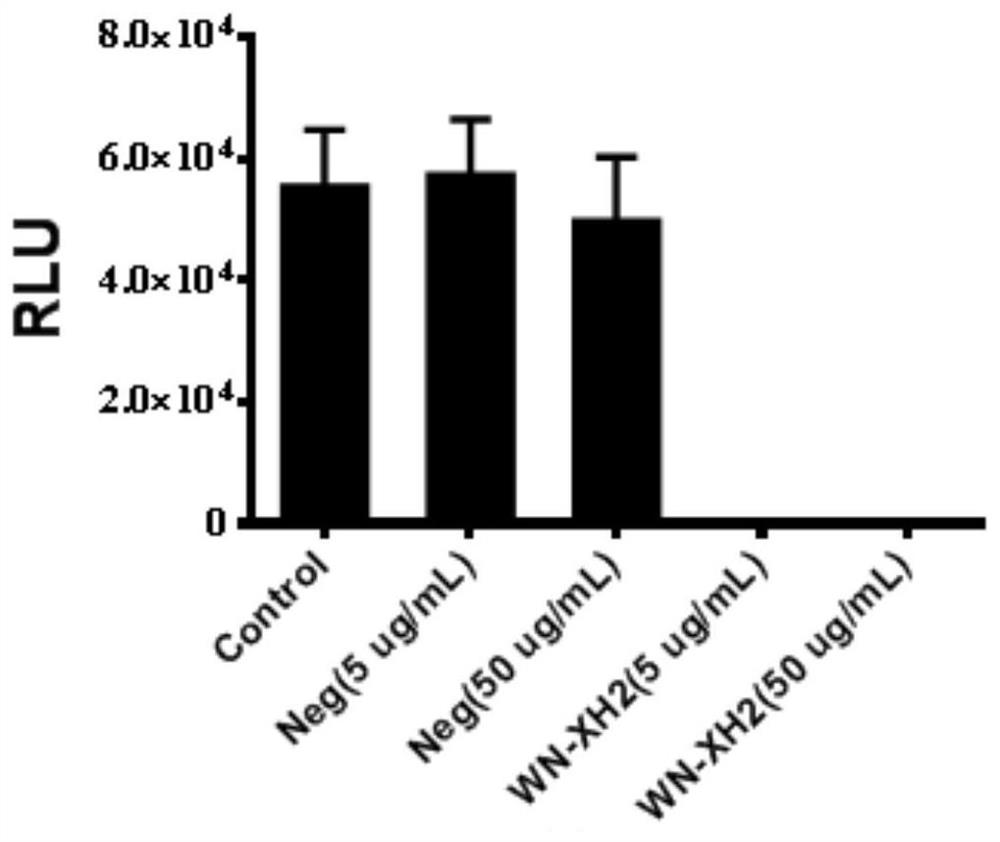 Binding molecule for resisting WNV infection